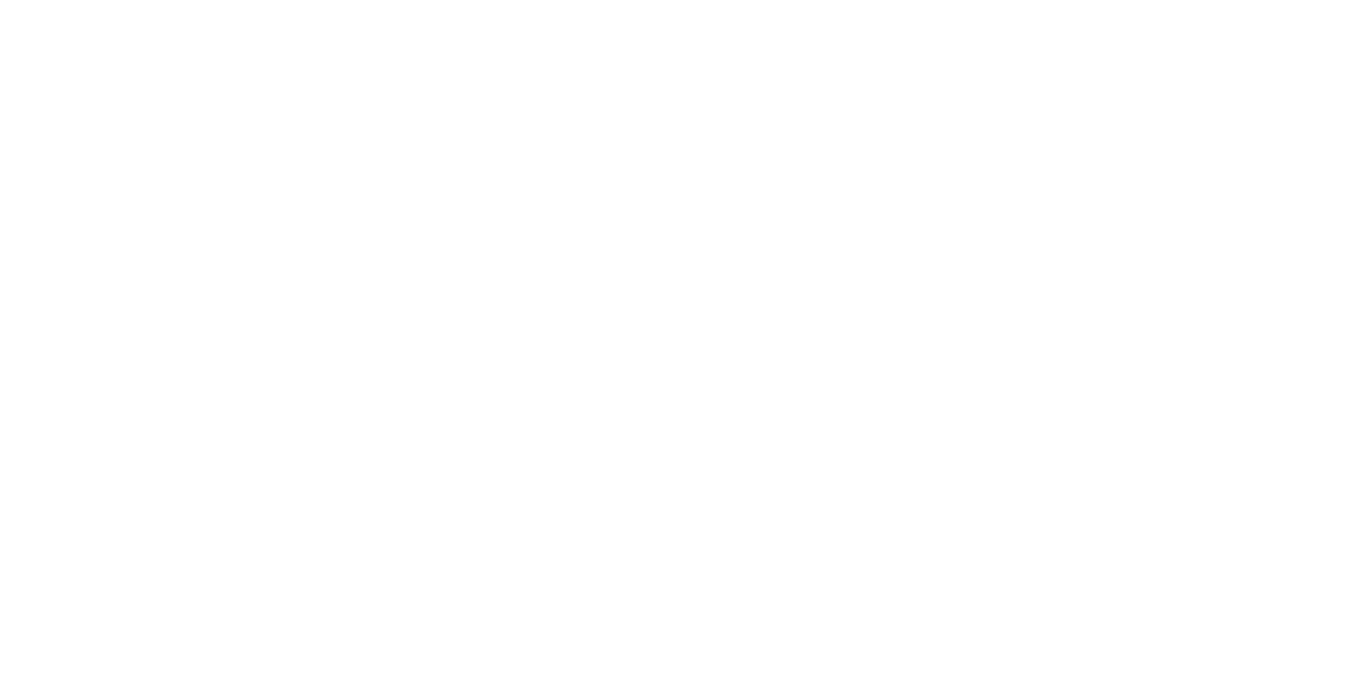 brooks running logo